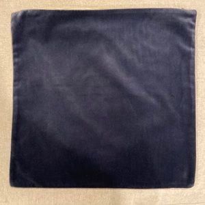 Pottery Barn Velvet Pillow Cover